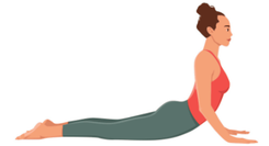 Bhujangasana (Cobra Pose) 