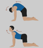 Marjariasana-Bitilasana (Cat-Cow Pose)