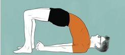Sethubandhasana