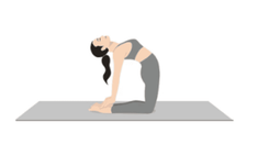 Ushtrasana