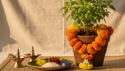 Tulsi Vivah 2026: The Story Behind This Sacred Marriage